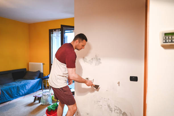 Best Water Damage Restoration  in Northvale, NJ